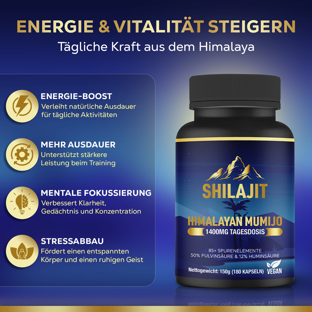 🌱 Shilajit Mumijo – 180 Kapseln, 1.400 mg hochdosiert, unterstützt Vitalität & Wohlbefinden