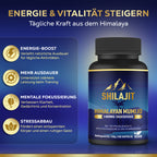 🌱 Shilajit Mumijo – 180 Kapseln, 1.400 mg hochdosiert, unterstützt Vitalität & Wohlbefinden