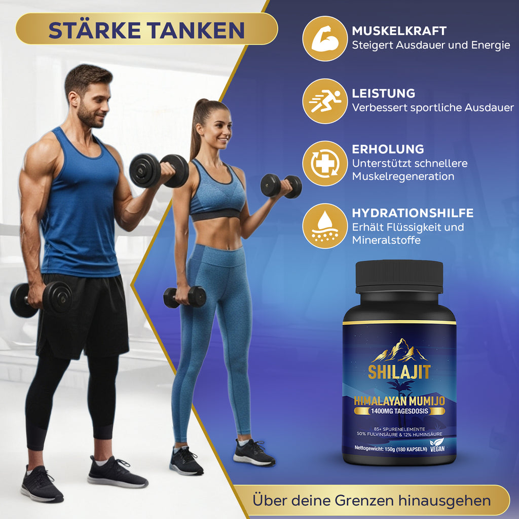 🌱 Shilajit Mumijo – 180 Kapseln, 1.400 mg hochdosiert, unterstützt Vitalität & Wohlbefinden